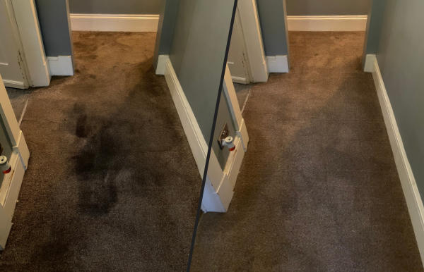 Carpet Cleaning